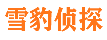 潼关找人公司